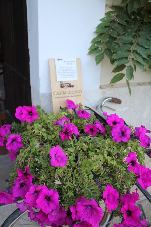 Cefalicchio B&B Canosa di Puglia Exterior foto